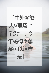 中外网络大V现场“带货”，今年杨梅季慈溪可以这样玩